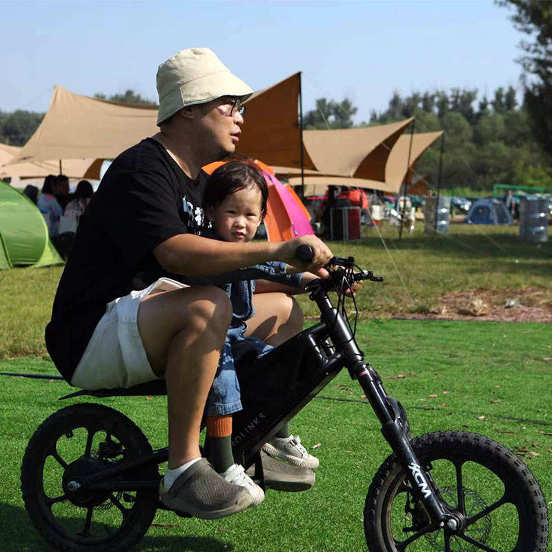 Exciting Molinks Mok Electric Dirt Bike for Kids - Lightweight MTB for Young Riders' Thrilling Adventures  e MTB teenage