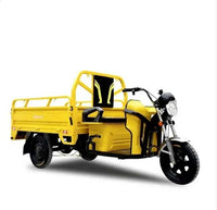 China Factory Moto Tricycle Cargo 60V 1000W Wheel Electric Cargo Trike Best Safety Popular Cargo Electric Tricycles