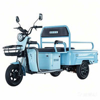 Quality Electric 60v Three-Wheel Cargo Tricycles with 1200w Motor Dumping Mobility Passenger for Family Use