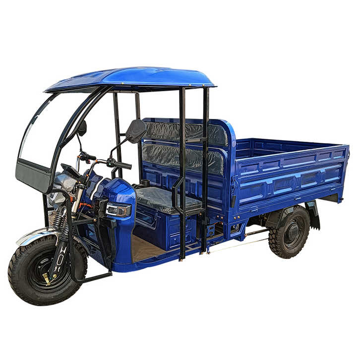 Cheap Factory Directly Supply 3-wheel Electric Tricycle Cargo Electric Tricycle