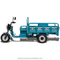 Direct Sale EV Cargo Electric Tricycle at Low Price
