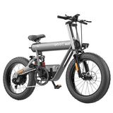 GOGOBEST GF500 Electric Mountain E-bike  750W Motor Off-Road Bicycle with 20*4.0 Fat Tire and Hydraulic Disc Brake for Mountain Sport and Dirt Riding