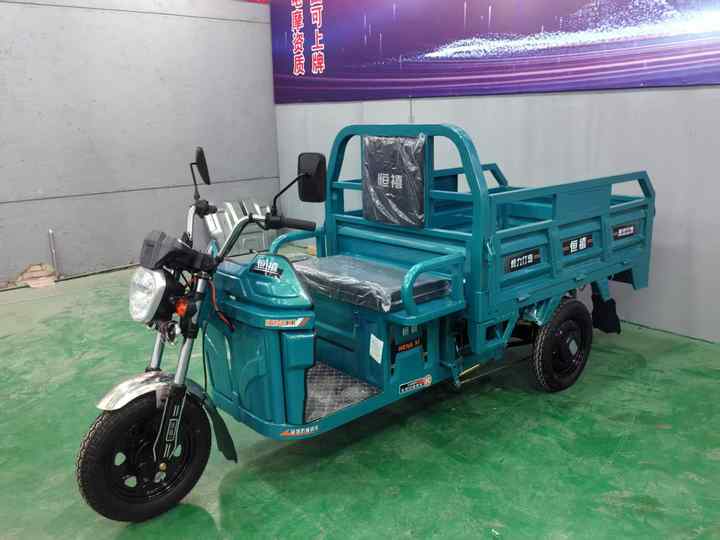 Wholesale Adults Cargo 3 Wheel Motorcycle Motorized Top Speed 40km/H Electric Tricycle