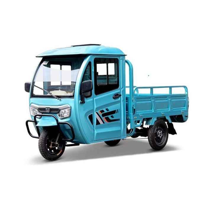 Europe and America Popular High Quality 1000w Three Wheels Triciclo Electric Cargo Tricycle Electric Cargo Tricycle