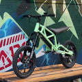 Exciting Molinks Mok Electric Dirt Bike for Kids - Lightweight MTB for Young Riders' Thrilling Adventures  e MTB teenage
