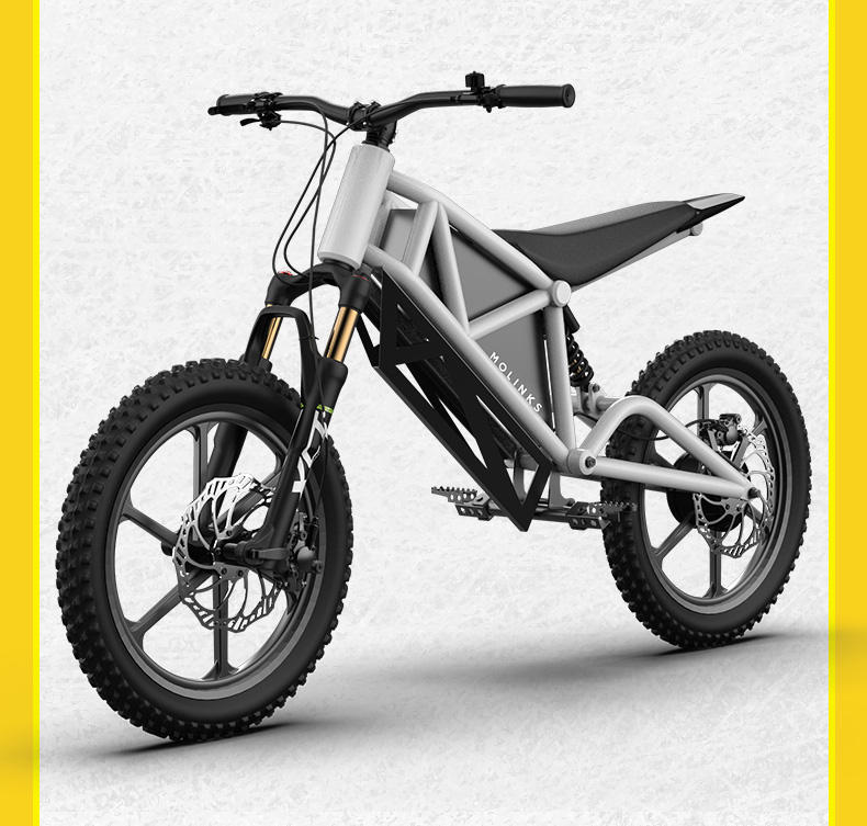 Exciting Molinks Mok Electric Dirt Bike for Kids - Lightweight MTB for Young Riders' Thrilling Adventures  e MTB teenage