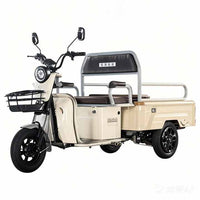 Quality Electric 60v Three-Wheel Cargo Tricycles with 1200w Motor Dumping Mobility Passenger for Family Use