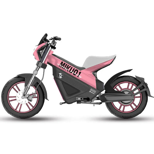 14inch Electric bicycle 48v20ah lithium ion battery 400w rear drive motor Travel Leisure Electric Assisted Two-Wheeled Bicycle