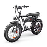 EMOKO C99 20 Inch Fat Tire Adult Electric Bicycle is 250w 48V 20ah Mountain Electric Bike and Outdoor Entertainment  E Bike