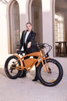 26 Inch Vintage Power-Assisted Electric Bicycle/ Pedal Bicycle/Beach Electric Mountain Bike