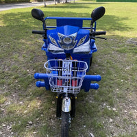 Electric tricycle adult family freight car to pick up and drop off children
