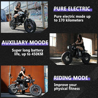 DARK KNIGHT Aldult EBike 2000W 48V 60AH 20 inch 4.0 Fat Tires Mountain Electric Bicycle Oil Brake Electric Motorcycle bike