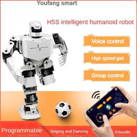 16 Dof Humanoid Robot with Servo and MP3 Dance Robot Singing Dancing Walking RoboSoul Educational Programmable Bionic Robot Kit