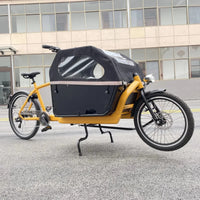 Two wheeled electric transport travel assist bicycle 36v 250w hub motor Cargo e-bike pedal bicycle for adult bike with cargo box