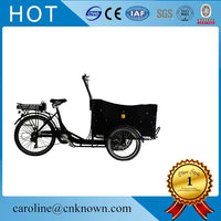 Three Wheels Aluminium Alloy Triporteur electric cargo trike and mobile food cart shipping by sea