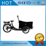 Three Wheels Aluminium Alloy Triporteur electric cargo trike and mobile food cart shipping by sea