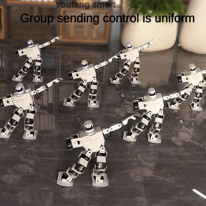 16 Dof Humanoid Robot with Servo and MP3 Dance Robot Singing Dancing Walking RoboSoul Educational Programmable Bionic Robot Kit