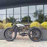 26 Inch Vintage Power-Assisted Electric Bicycle/ Pedal Bicycle/36V*500W Beach Electric Mountain Bike