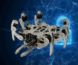 Mini 19 DOF Hexapod Bionic Robot Spider with Servos Claw Teaching set for Arduino Robot DIY Kit NANO Programmable Robot Spider