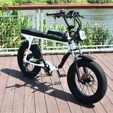 YQEBIKES EU NO TAX Fat ebike Electric City Bicycle 73 S2 Snow Downhill Ebike Pedal Assistant 48V2000W Electric Bike 2 Battery