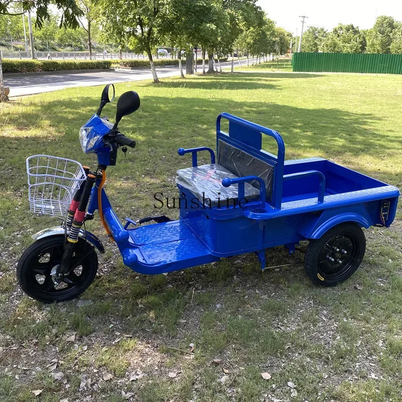 Electric tricycle adult family freight car to pick up and drop off children
