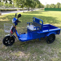 Electric tricycle adult family freight car to pick up and drop off children
