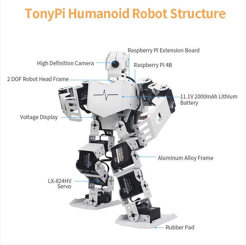 Hiwonder TonyPi Raspberry Pi AI Visual Intelliogent Programming Robotics with Wholesale Price