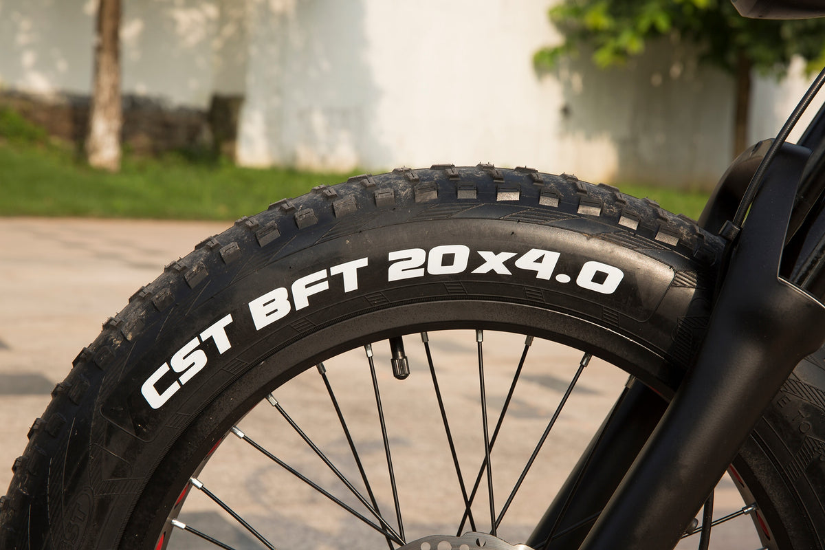 High Quality ZHENGBU S5 20 Inch 1000W 48V 10AH 15AH 20AH Ebike Mountain 20*4.0" Fat Tire Retro Vintage Electric Bike
