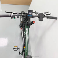 Zeegr S1 Customized 1000Watt Brushless Hub Motor Electric Bike 2000W 48V Fat Tire Electric Mountain Bike