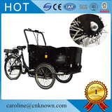 Three Wheels Aluminium Alloy Triporteur electric cargo trike and mobile food cart shipping by sea