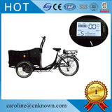 Three Wheels Aluminium Alloy Triporteur electric cargo trike and mobile food cart shipping by sea