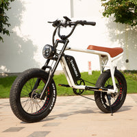 High Quality ZHENGBU S5 20 Inch 1000W 48V 10AH 15AH 20AH Ebike Mountain 20*4.0&quot; Fat Tire Retro Vintage Electric Bike