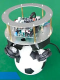 STM32 Ballbot Ball Balance Robot Supports Secondary Development App Parameter Adjustment And Wheel Group Module Programmable Kit