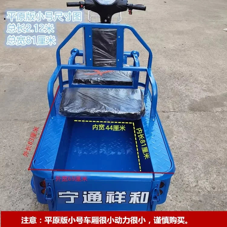 Electric tricycle adult family freight car to pick up and drop off children