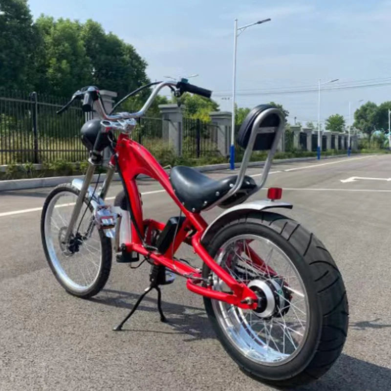 Electric Power Assisted Bicycle 20/24inch Wheel Electric Bicycle Pulling Bicycle