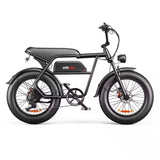 EMOKO C99 20 Inch Fat Tire Adult Electric Bicycle is 250w 48V 20ah Mountain Electric Bike and Outdoor Entertainment  E Bike
