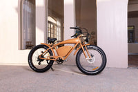 26 Inch Vintage Power-Assisted Electric Bicycle/ Pedal Bicycle/Beach Electric Mountain Bike