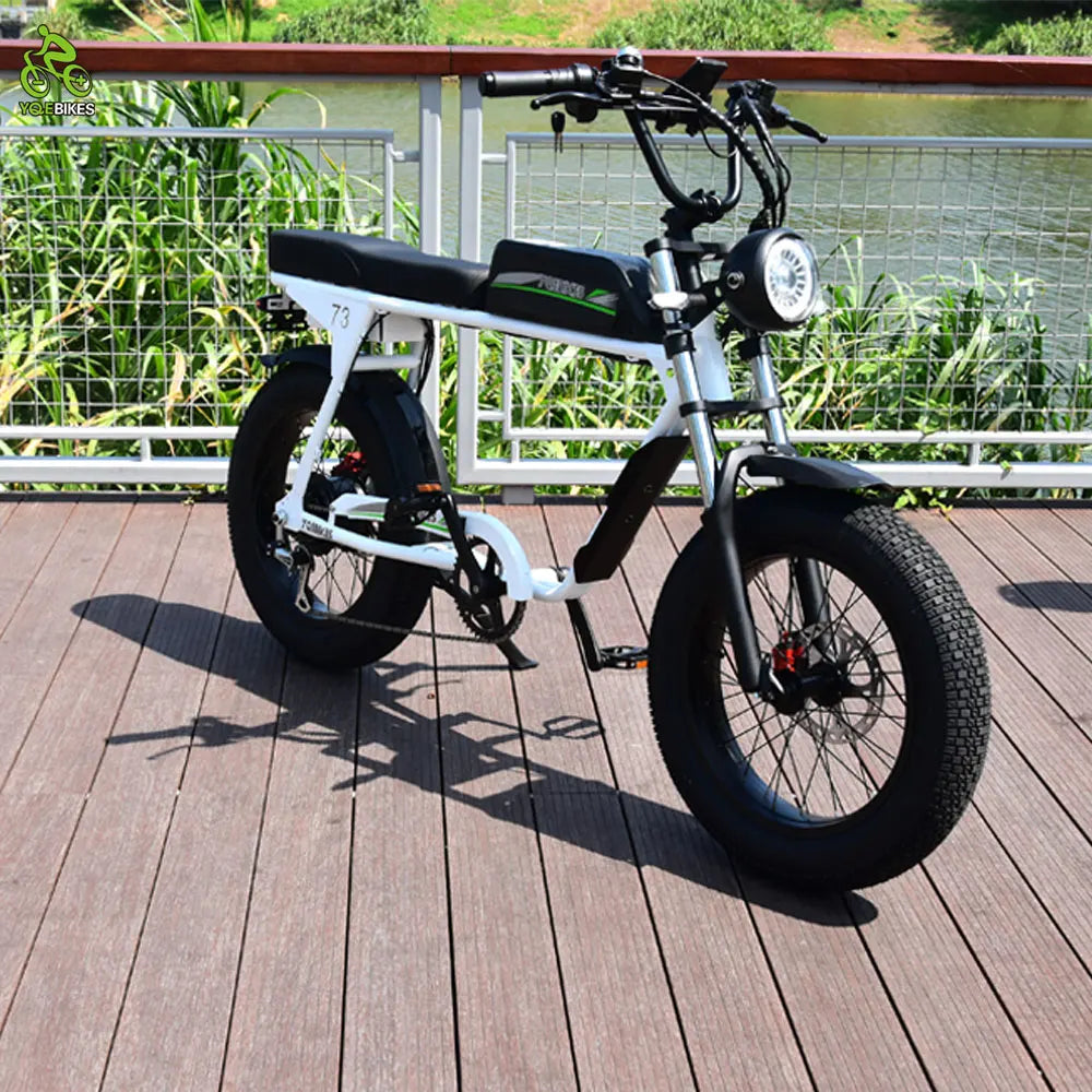 YQEBIKES Stealth Bomber Bicycle Saddle Electric Bike Long Two Seat Universal Seat Post e Bike Dual Seat for Ebike 73 RX S1 S2