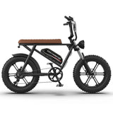 US Warehouse Electric Motorcycle 20*4.0 Inch Fat 750W Electric Bicycle 40KM/H Mountain Ebike for Adults AOSTIRMOTOR