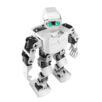 Latest 2024 model  Bionic humanoid programming robot  compatible with ntelligent speech recognition secondary development kit