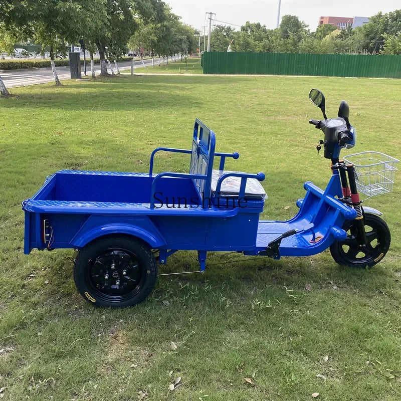 Electric tricycle adult family freight car to pick up and drop off children