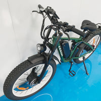 Zeegr S1 Customized 1000Watt Brushless Hub Motor Electric Bike 2000W 48V Fat Tire Electric Mountain Bike