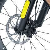 COSWHEEL M20  500W 10AH High-speed Motorcycle with Basket, Fat Tire Electric Bicycle, Electric Bicycle, New Type of Electric Bicycle