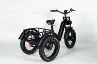 20 Inch *4.0 Electric Power Tricycle /Fat Wheel Disc Brake Tricycle/48V500W Motor Electric Bicycle