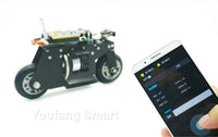 RC Tank 3D Printing Bike Cubli Balance Motorcycle APP Control 2WD Robotic Car for STM32 Programmable Robot Kit Robot Car Project