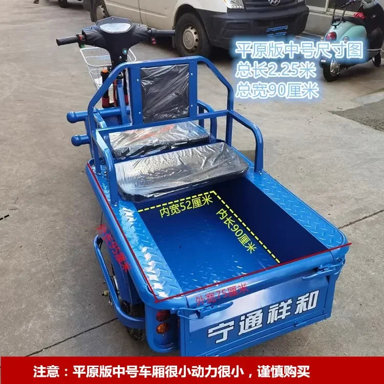 Electric tricycle adult family freight car to pick up and drop off children