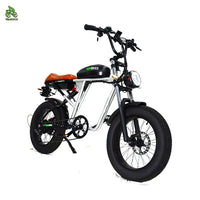 USA Warehouse 6-8 Day Arrived 1000W 20Ah Hydraulic Disc Brake ebike Electric Dirt Bike Full Suspension Off Road Mountain Bike