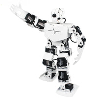 Hiwonder TonyPi Raspberry Pi AI Visual Intelliogent Programming Robotics with Wholesale Price