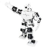 Hiwonder TonyPi Raspberry Pi AI Visual Intelliogent Programming Robotics with Wholesale Price