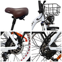 CT20 E Bike Folding 750W Motor 48V20Ah Samsung Battery Adjustable Speed Electric Bicycle 20*4.0 Inch CST Fat Tire Electric Bike